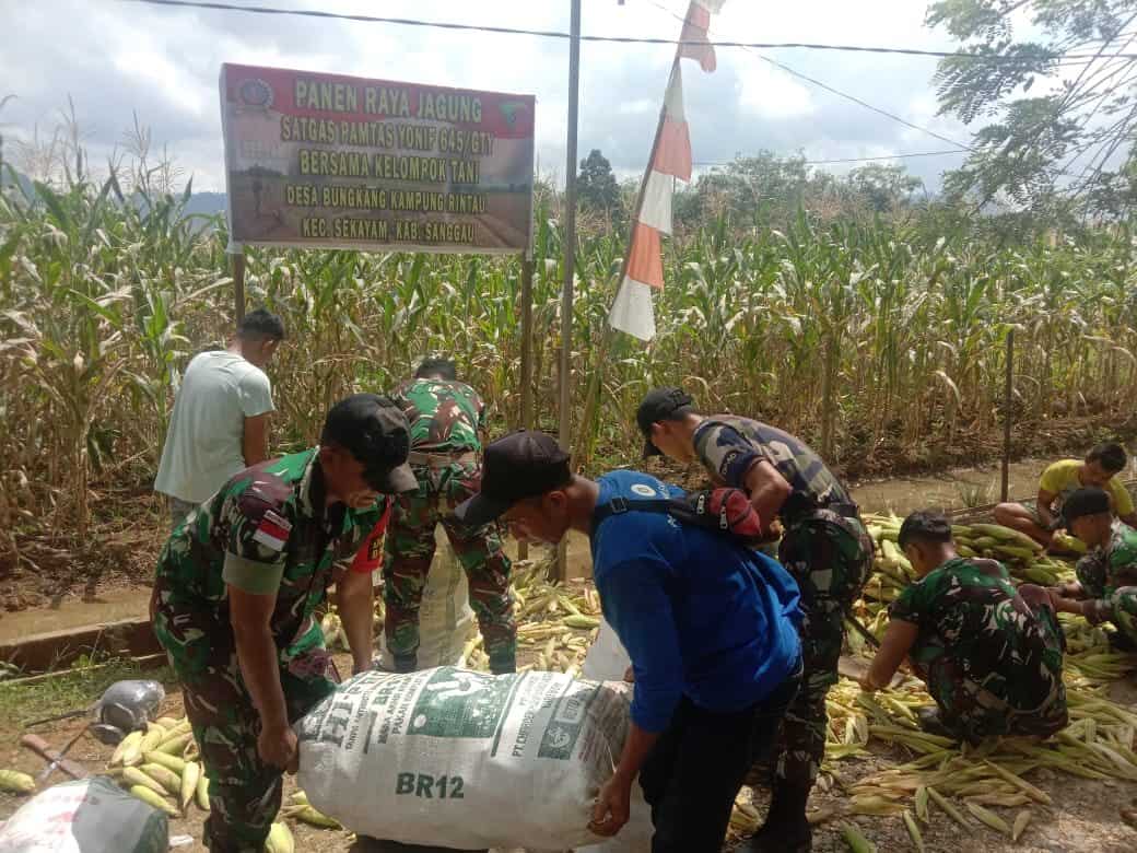 Satgas Pamtas Ri Malaysia Yonif Gty Bersama Kelompok Tani Binaan