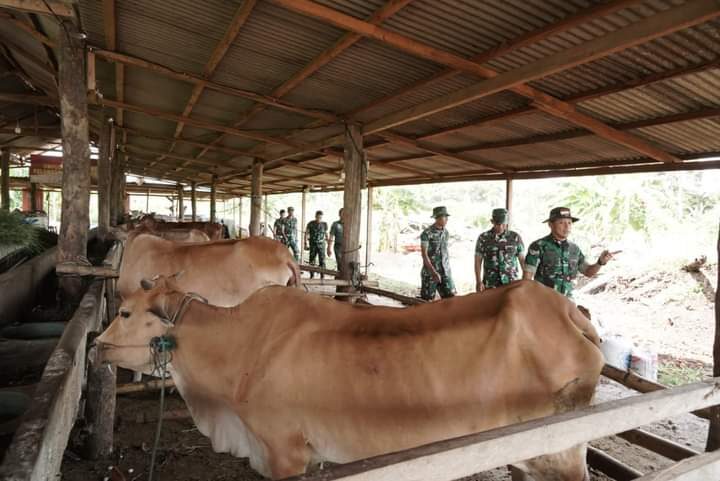 Kapoksahli Pangdam IM Apresiasi Teuku Umar Farm Korem 012 TU