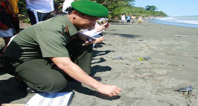 images_img_Kodam17_18092012penyu