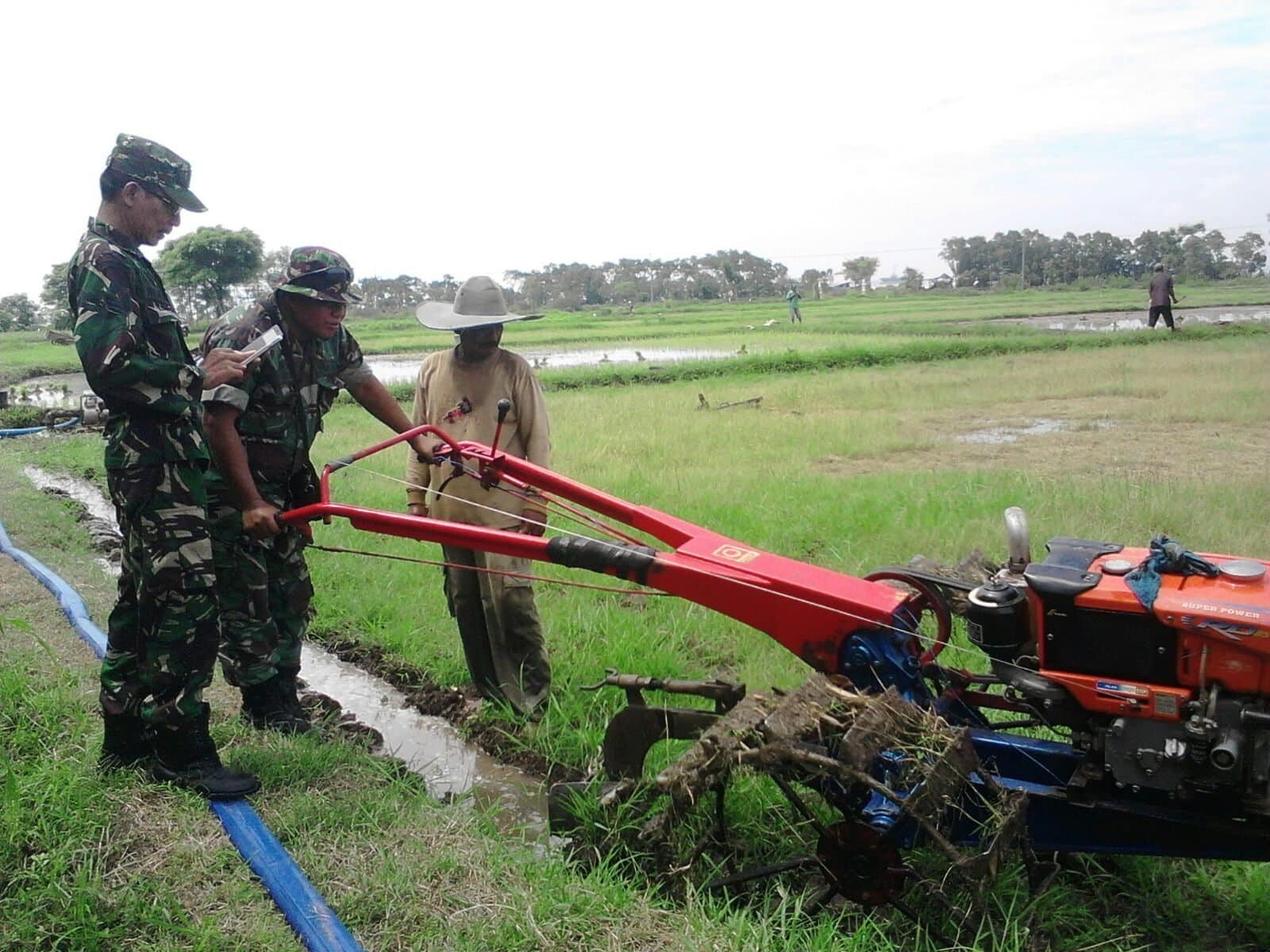 Babinsa Ramil 02/Socah Bangkalan Bantu Petani Bajak Sawah