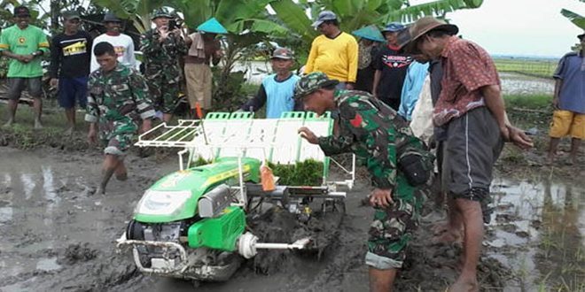 Koramil Mengajari Petani Cara Menggunakan Alsintan  