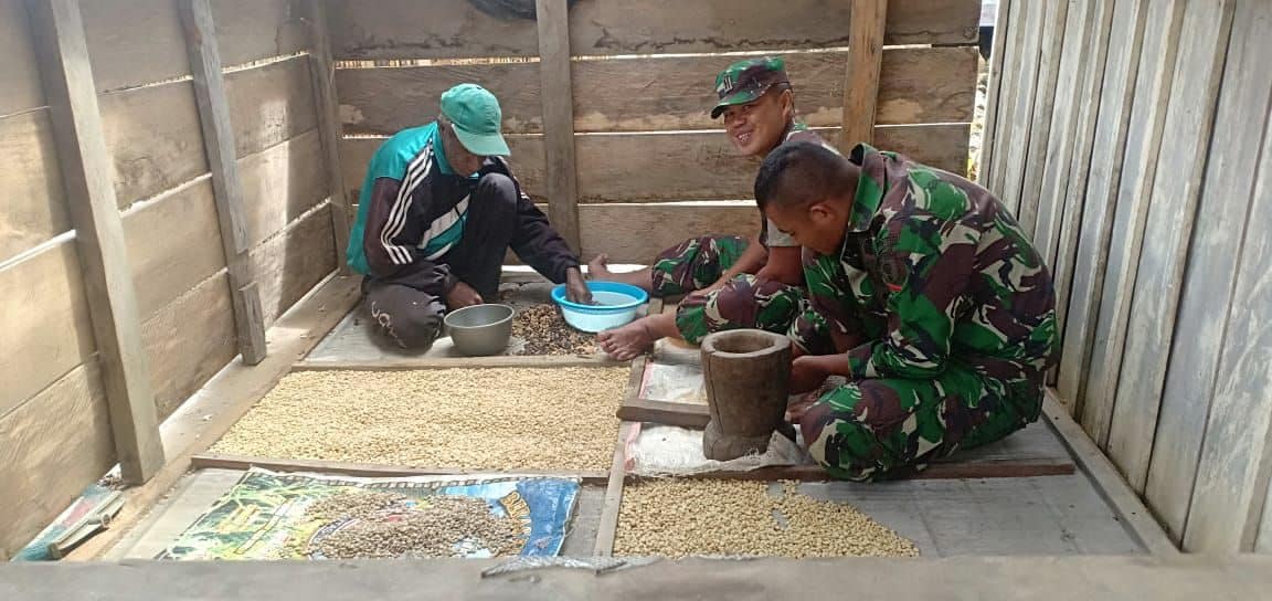 Tingkatkan Ekonomi Warga Pegunungan Bintang, Satgas Yonif 725 Latih Budidaya Kopi Abmi