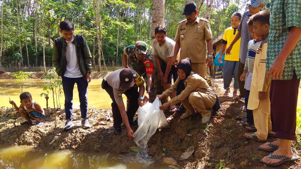 Dukung Ketahanan Pangan, Babinsa Jayaloka Tebar 3000 Bibit Ikan Nila Dan Lele