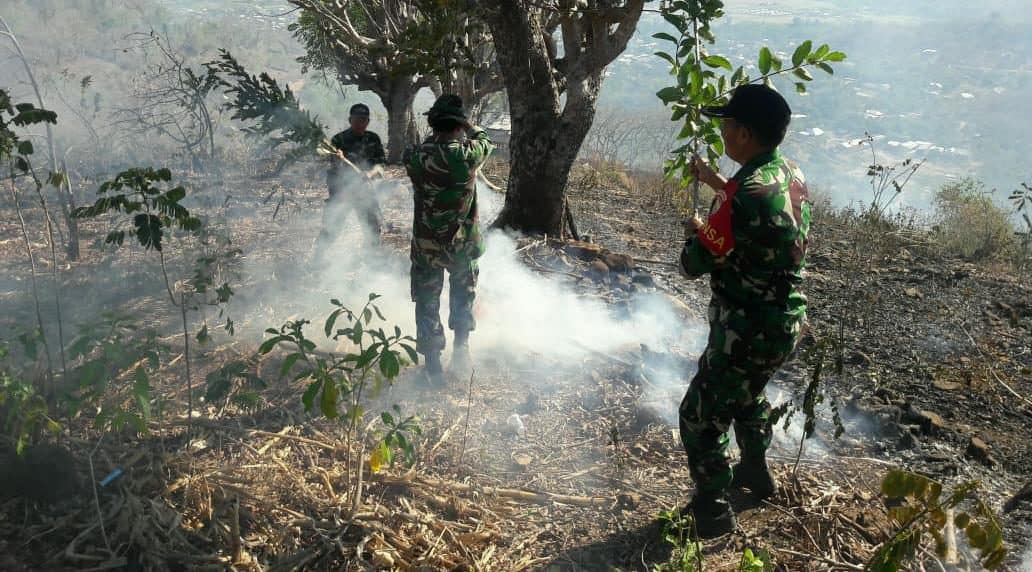 10 Ha Hutan Terbakar, Gerak Cepat Kodim Bima dan Yonif 742 Bantu Padamkan Api