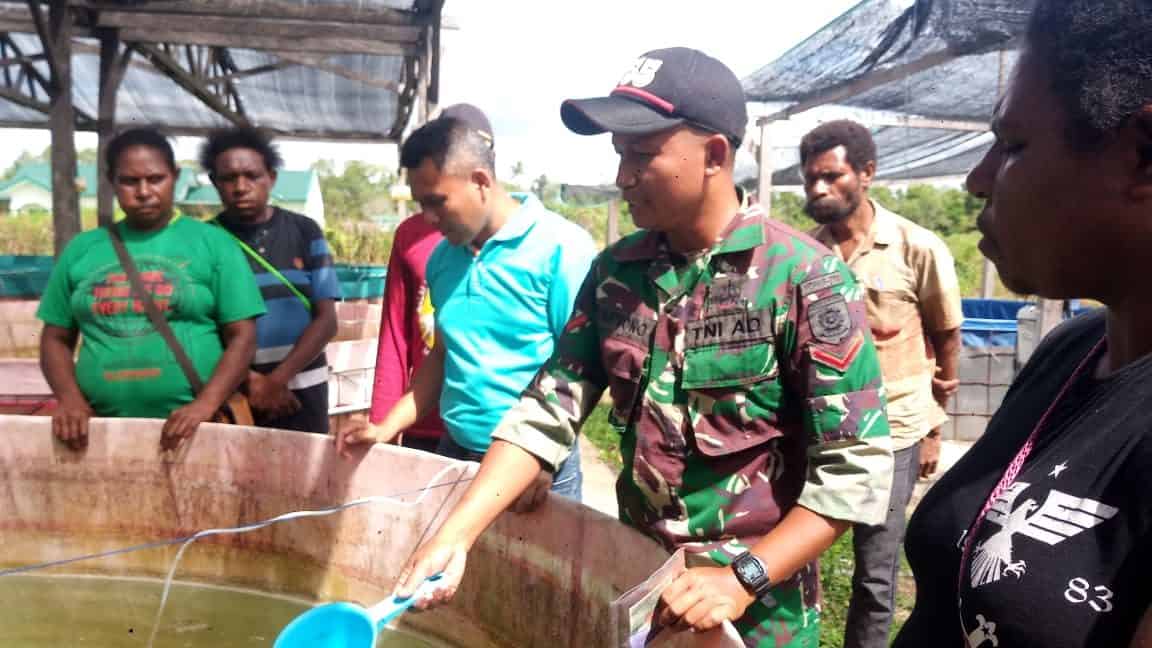 Bantu Perekonomian Warga, Yonif 755/Yalet Sosialisasi Budidaya Ikan Lele Bagi Warga Merauke