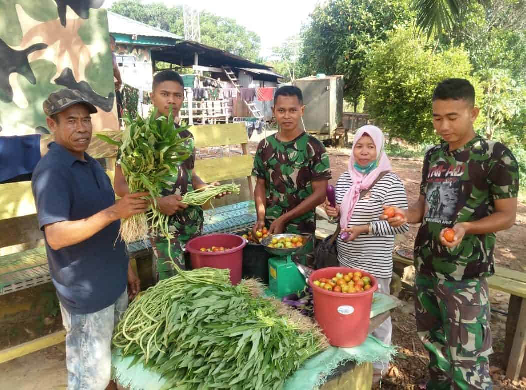 Budidaya Sayuran, Solusi Satgas Yonif 600 Bantu Kesehatan dan Ekonomi Warga Nunukan