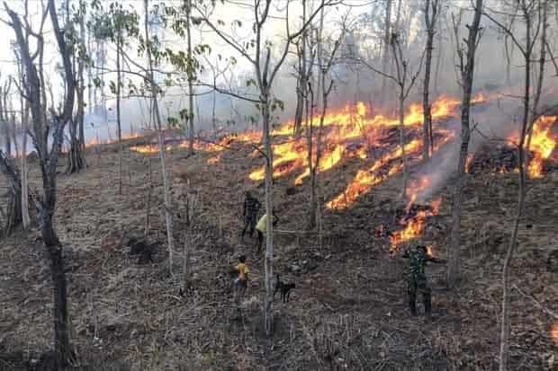 Satgas Pamtas Yonif 132 Padamkan Kebakaran Ladang