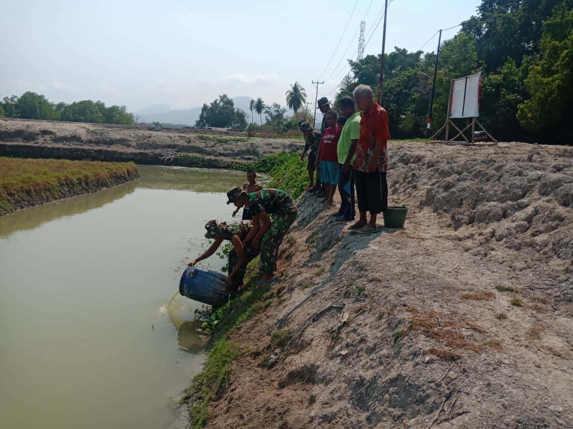 Tingkatkan Ekonomi Warga di Wiltas, Satgas Yonif R 142 Kembangkan Budidaya Ikan