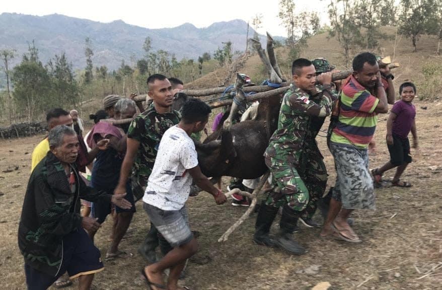 Tingkatkan Solidaritas, Personel Satgas Yonif 132 Bantu Evakuasi Ternak Warga yang Jatuh ke Jurang