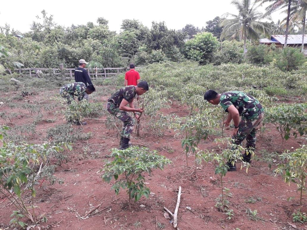 Lama Tak Terurus, Satgas Yonif 406 Hidupkan Pekarangan Bapak Sugito