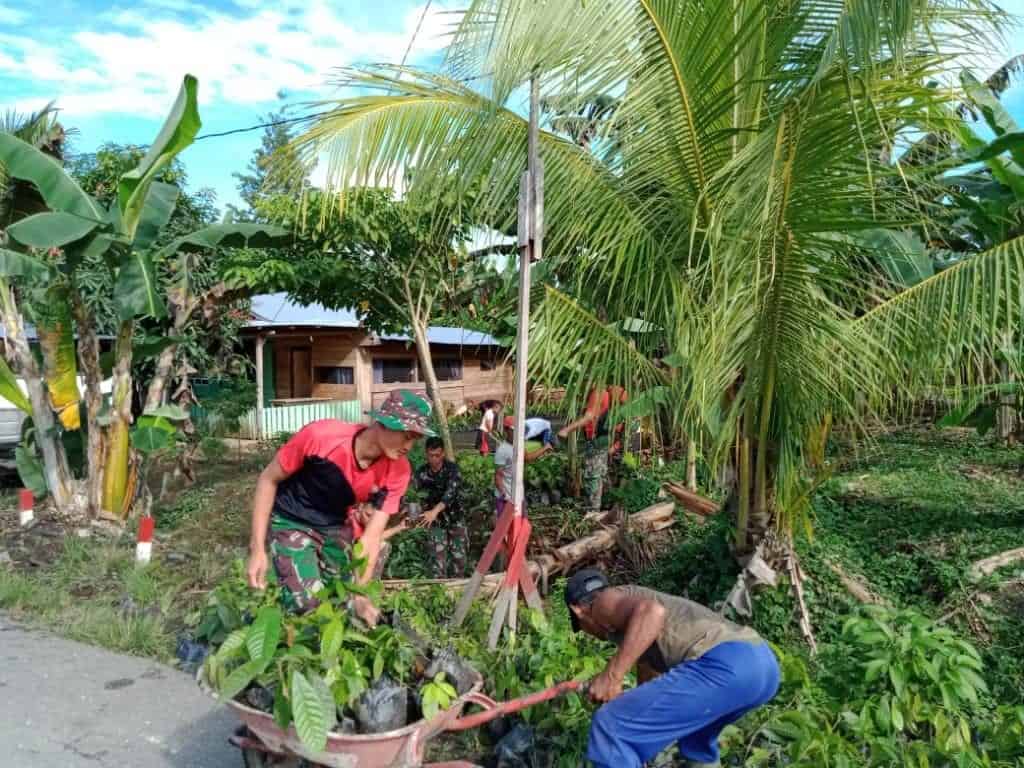 Tanam Coklat, Satgas Yonif 300 Dongkrak Ekonomi Warga Perbatasan RI-PNG