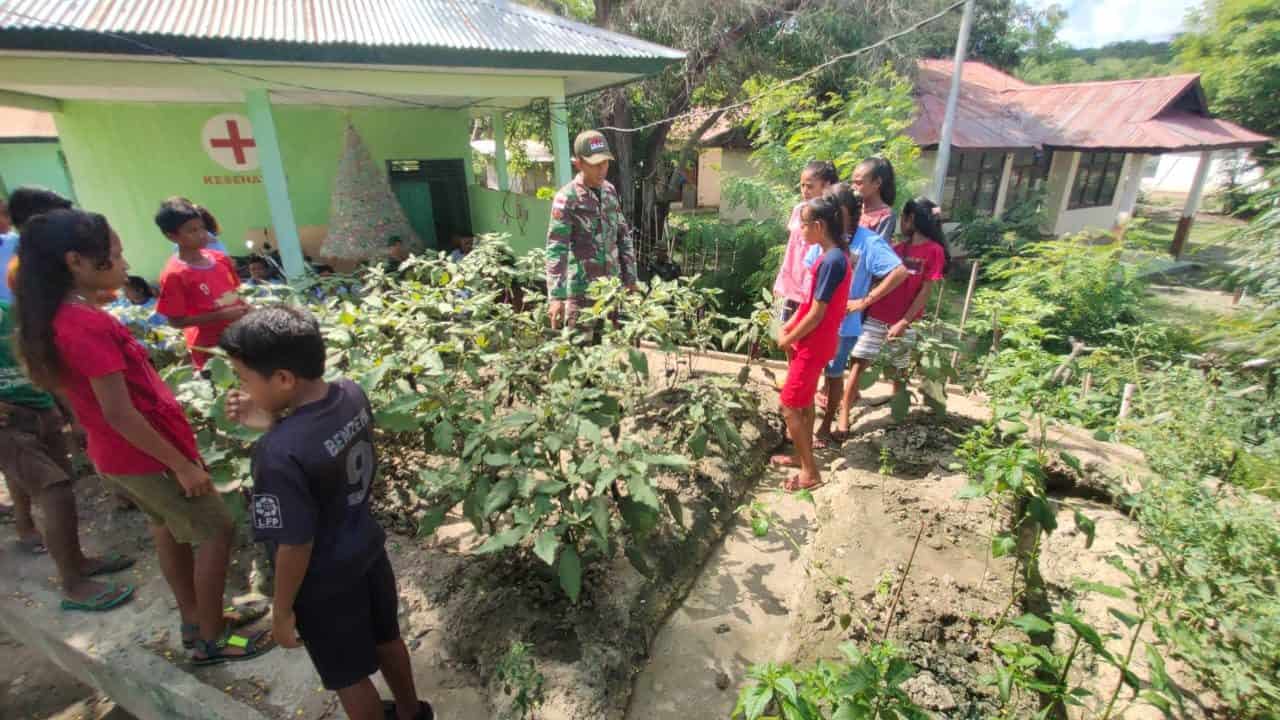 Kebun Edukasi, Satgas Yonif 132 Kembangkan Kecerdasan Majemuk Pelajar di Perbatasan RI-RDTL