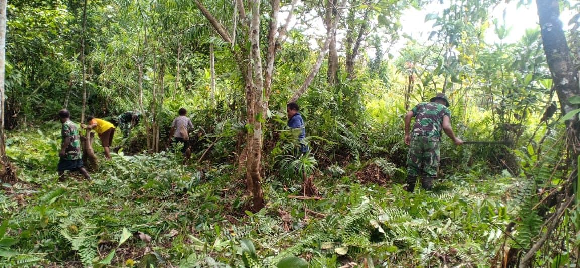 Bangun Kemandirian Wiltas, Satgas Yonif 406 Kembangkan Budi Daya Sayuran