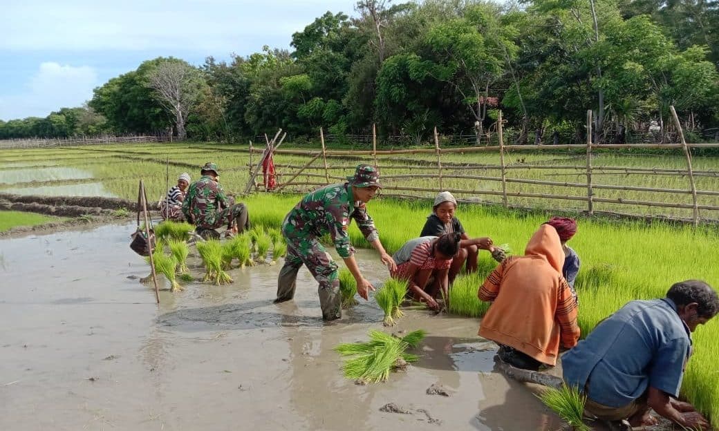 Dorong Swasembada Pangan, Satgas Pamtas Yonif 132 Bantu Warga Cocok Tanam