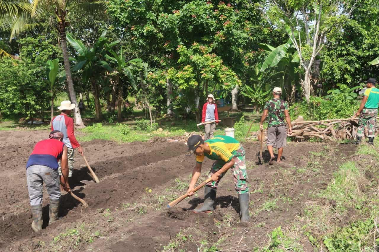 Tingkatkan Ekonomi Papua, Satgas Yonif MR 411 Bantu Warga Buka Lahan Kebun