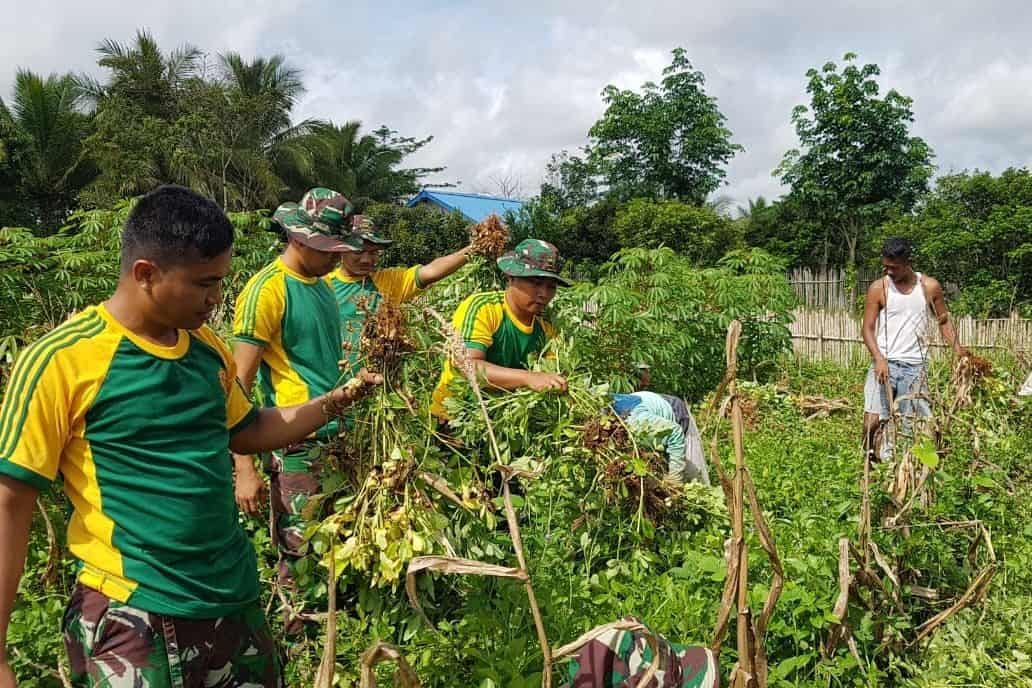 Berdayakan Lahan Kosong, Satgas Yonif 411 dan Warga Panen Kacang Tanah