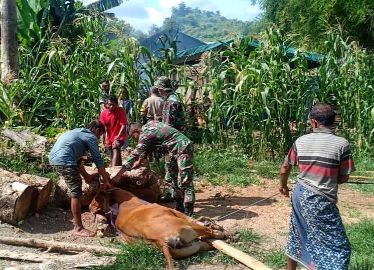 Jaga Tradisi Adat dan Bantu Warga, Satgas Yonif 142 Ikuti Hookrau