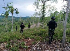 Jelajahi Papua, Satgas Yonif 713 Patroli Perbatasan