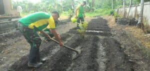 Sarana Edukasi, Yonarmed 9 Buat Kebun Percontohan Di Desa Buli