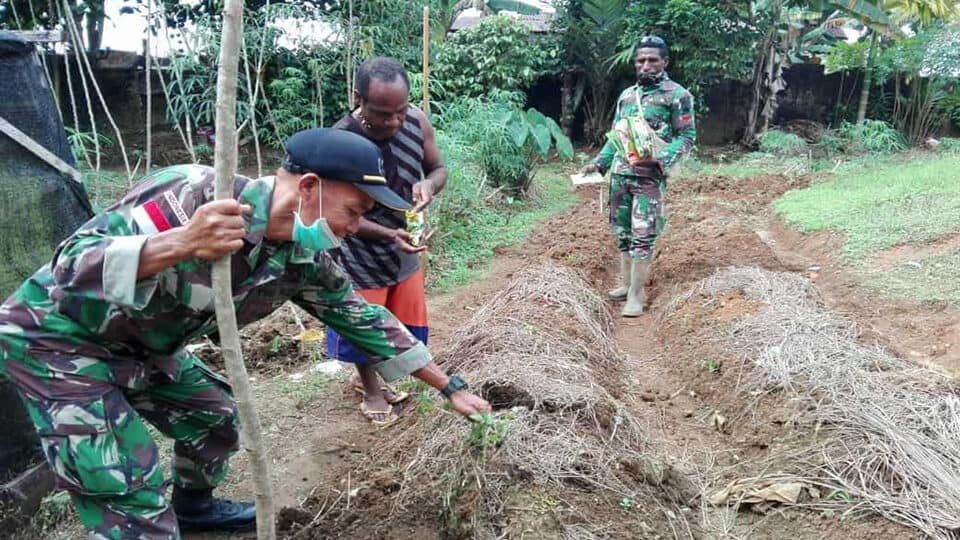 Bibit Sayur, Satgas Yonif 406 Tingkatkan Ekonomi Warga Papua