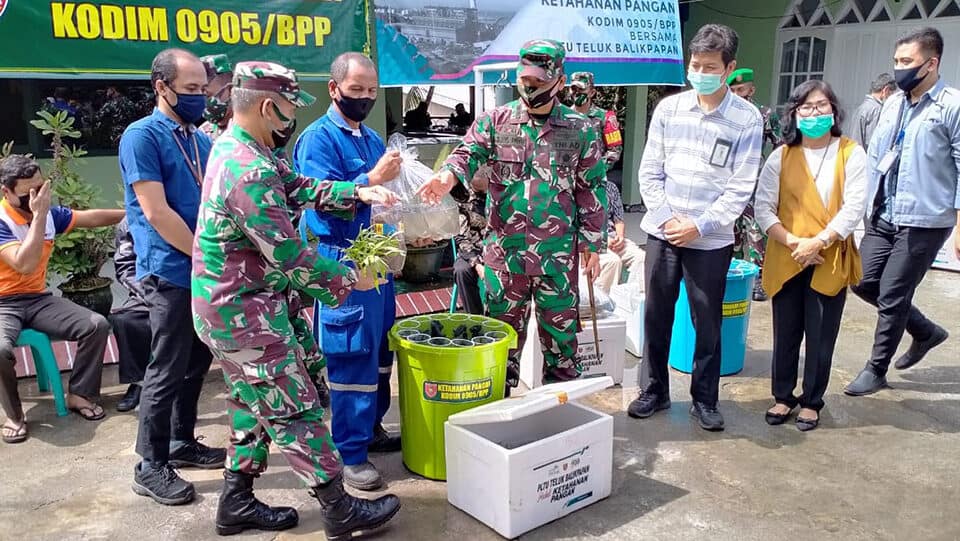 Dukung Ketahanan Pangan, Kodim Balikpapan Tumpang Sari Lele dan Kangkung