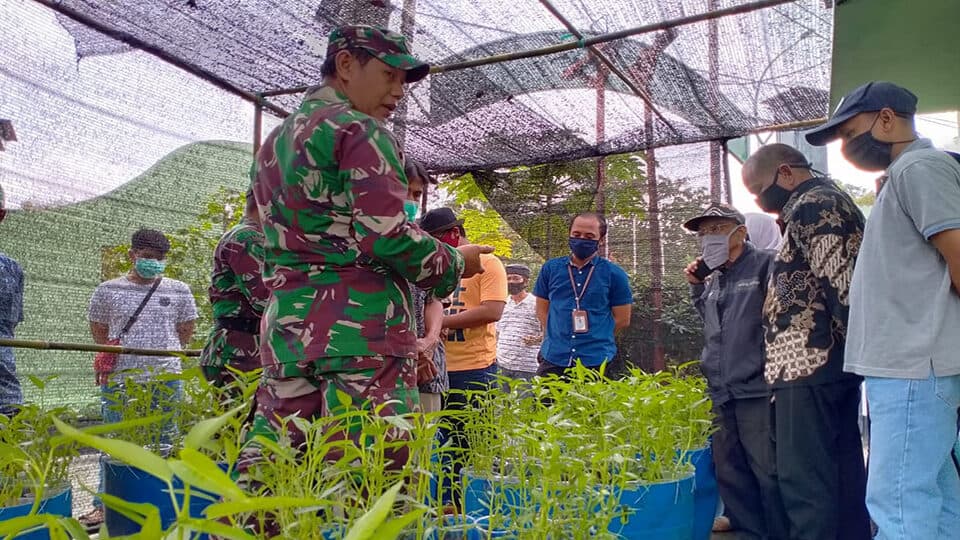 Dukung Ketahanan Pangan, Kodim Balikpapan Tumpang Sari Lele dan Kangkung