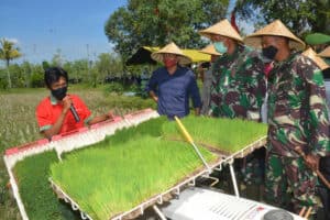 Ketahanan Pangan Berlanjut, Korem 162/WB Tanam Padi Serentak