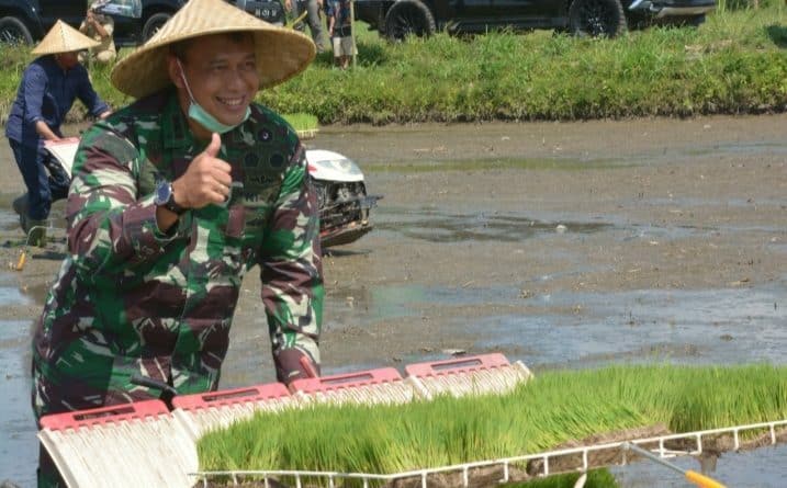 Ketahanan Pangan Berlanjut, Korem 162/WB Tanam Padi Serentak