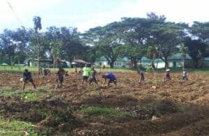 Gegara Budidaya Makanan Ular, Yonif 725 Digrebek Pejabat Sekecamatan Loea