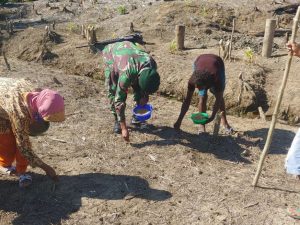 Bantu Warga Tanam Padi, Satgas Yonif 754 Dukung Ketahanan Pangan di Papua