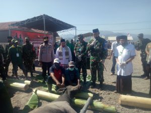 Kebahagiaan Warga Pulau Bungin Terima Bantuan Hewan Kurban dari Kasad