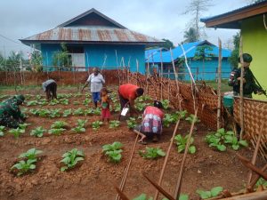 Jaga Ketahanan Pangan, Satgas Yonif 125/Si’mbisa Dampingi Kelompok Tani di Papua