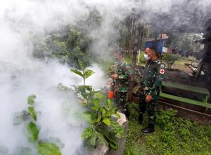 Cegah Wabah Malaria, Satgas Yonif 413 Bremoro Asapi Kampung Kibay