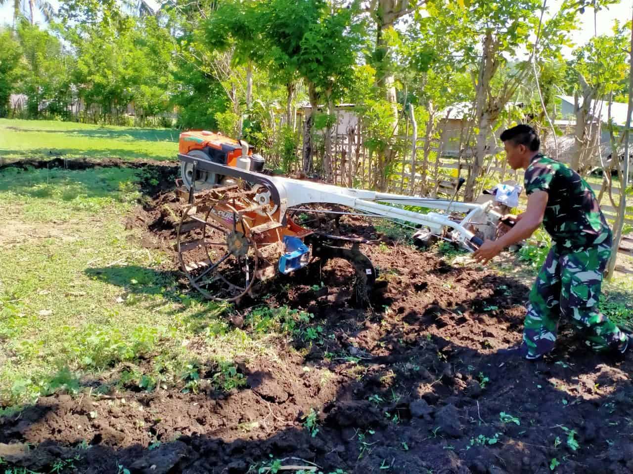 Bantu Petani di Perbatasan, Personel Satgas Yonif 744/SYB Bajak Lahan Kebun Warga