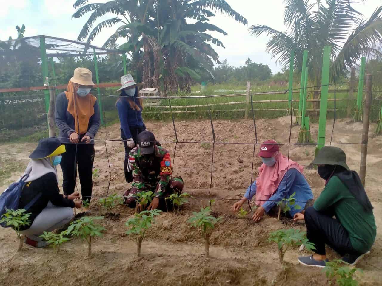 Manfaatkan Lahan Kosong, Satgas Yonif 642/Kps Ajak Warga Temajuk Berkebun