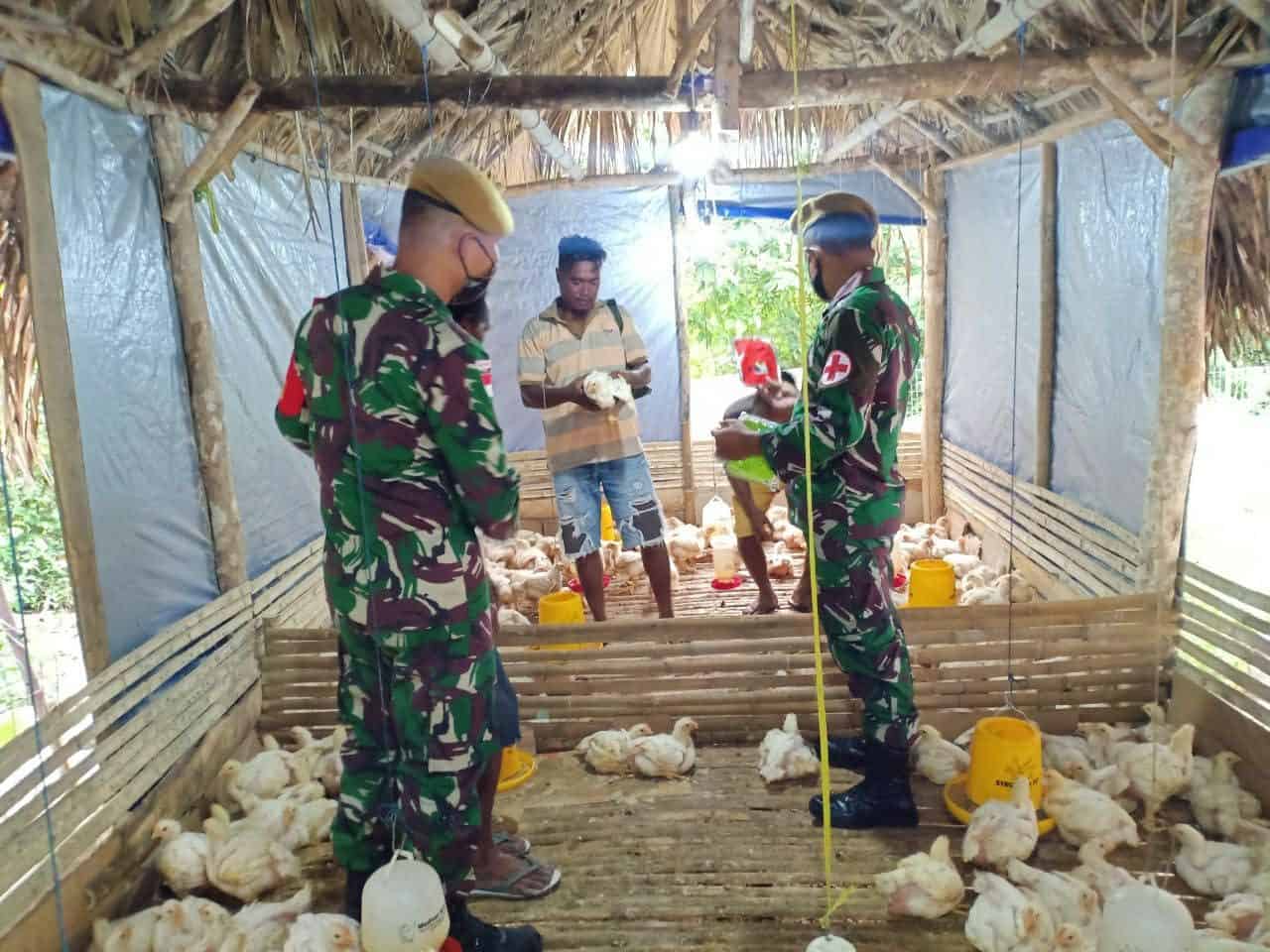 Tingkatkan Perekonomian Warga Perbatasan, Satgas Yonarmed 3/105 Tarik Gelar Pelatihan Budidaya Ayam Potong