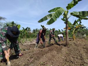 Stabilkan Ketersediaan Bahan Pokok Makanan, Satgas Yonif MR 413 Kostrad Bantu Warga Perbatasan RI-PNG Tanam Pisang