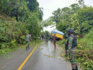 Satgas Yonif 312 Bantu Evakuasi Truk Tertimpa Pohon Tumbang Di Jalan Trans Papua