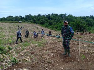 Dukung Ketahanan Pangan, Kodim 1628 Siapkan Lahan 100 Hektar