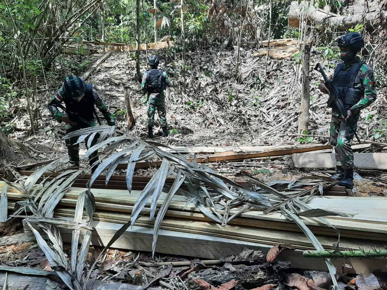 Diduga Hasil Pembalakan Liar, Satgas Yonif 642 Amankan Kayu Olahan di Hutan Jagoi Babang