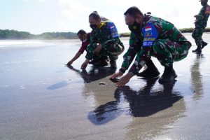 Lerstarikan Satwa Laut, Danrem 162/WB Lepas Tukik di Pantai Sepang Sumbawa Barat