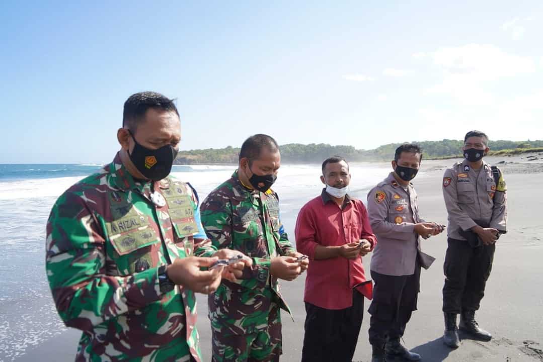 Lerstarikan Satwa Laut, Danrem 162/WB Lepas Tukik di Pantai Sepang Sumbawa Barat