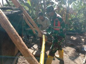 Satgas Pamtas Yonarmed 6/3 Gotong Royong Bantu Bangun Rumah Adat Warga NTT