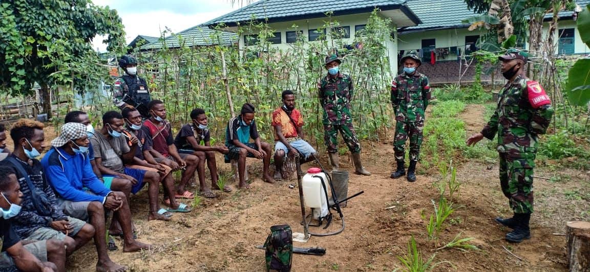 Tingkatkan Hasil Panen, TNI Gelar Penyuluhan Pertanian di Daerah Perbatasan RI-PNG