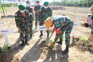 Sukseskan Program Food Estate, Satgas Yonif 643/Wns Menanam Sorgum Serentak di Wilayah Perbatasan.