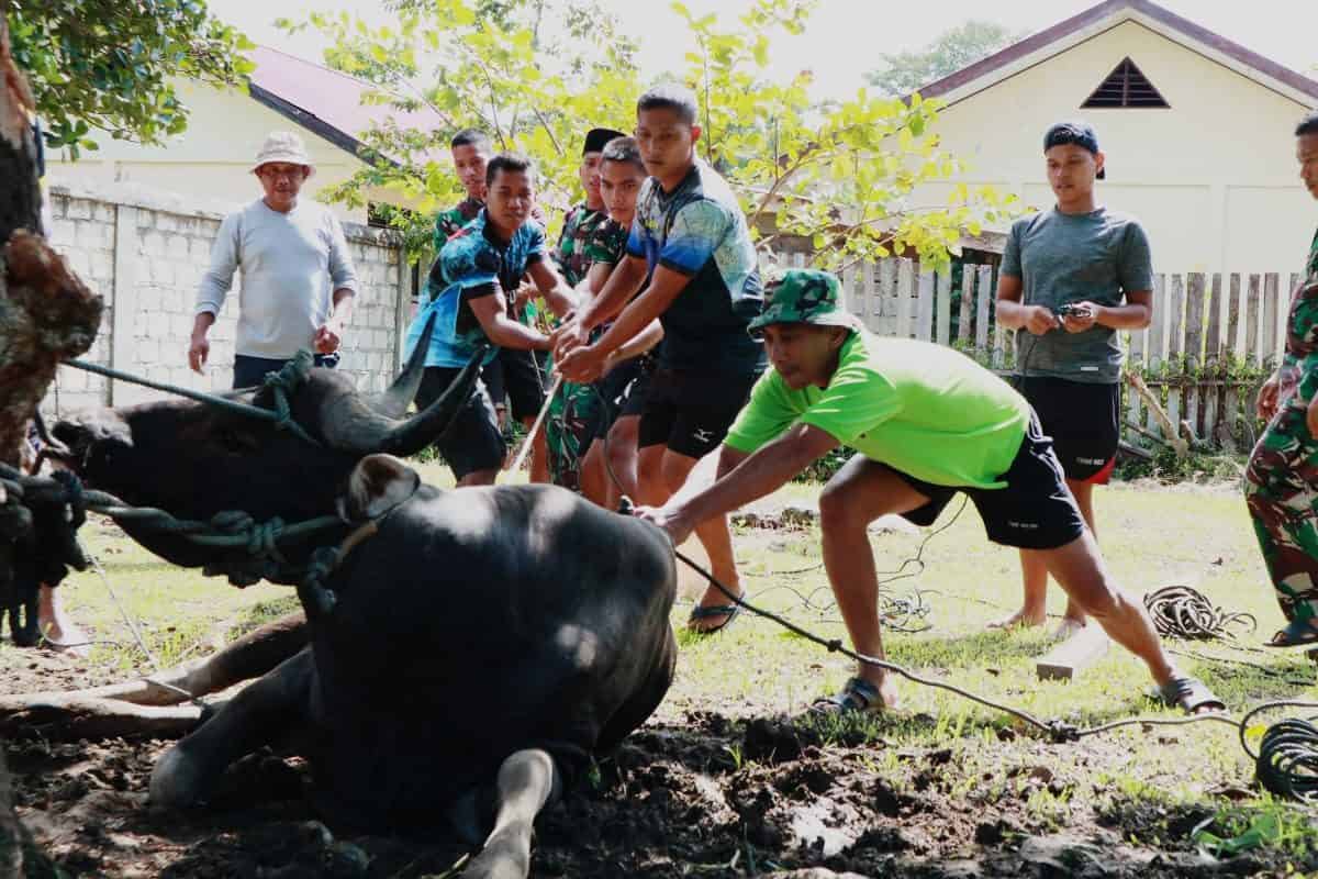 Tingkatkan Semangat Berkurban, Satgas Pamtas Yonif 403/WP Meriahkan Hari Raya Idul Adha di Wilayah Perbatasan RI-PNG