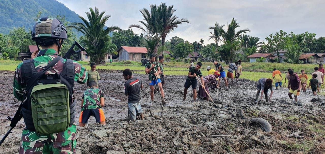 Atasi Krisis Pangan di Wilayah Perbatasan Papua, Satgas Pamtas Yonif 403/WP Gandeng Pemda dan Kelompok Tani Tanam Bibit Padi