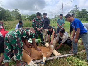 Rayakan Idul Adha di Perbatasan, Tidak Surutkan Semangat dan Moril Prajurit Satgas Pamtas Yonif 403/WP