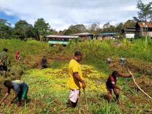 Satgas Pamtas Yonif 403/WP Bersama Masyarakat Gotong Royong Budidaya Ikan di Perbatasan