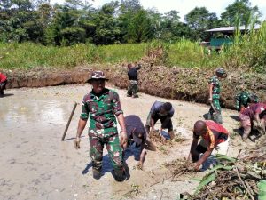 Satgas Pamtas Yonif 403/WP Bersama Masyarakat Gotong Royong Budidaya Ikan di Perbatasan